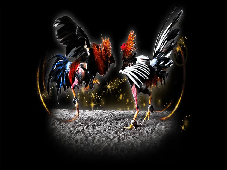 Bí Quyết Cách Chơi Đá Gà Sabong Tại Sodo6789 Nhận Thưởng Cực Khủng